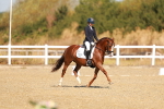 SBM_016822