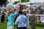 170524-Race 4-Giavellotto-8785