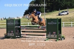 BPP_1133