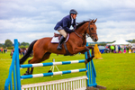 Eventing horse_3286