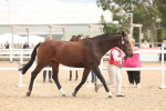 SBM_16980