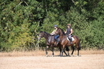 WJ6_7845