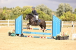 SBM_008074