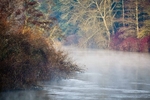 Steam Rising