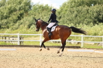SBM_002655