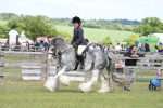 SBM_17163
