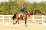 SBM_018584