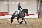 BPP_9173