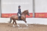 BPP_0597