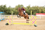 SBM_023014