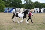 WJ6_5370