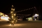 Chrsitmas time in Longyearbyen 5218