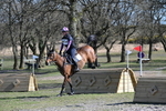 Tweseldown - 3 Phase Training (XC) 31-03-25 portfolio