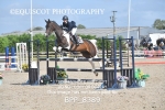 BPP_8389