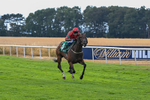 010826-Race 7-Maldevious-3478