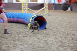 SBM_004511