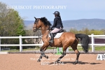 BPP_2174