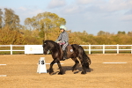 SBM_003258