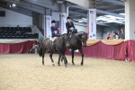 SBM_13118