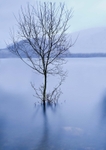 The Lakes