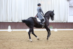 SBM_009537