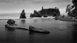 Pacific Northwest portfolio
