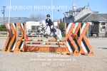 BPP_6147