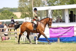 SBM_16214