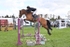 BPP_6353
