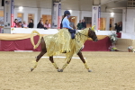 SBM_09808