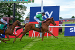 310526-Race 7-Annastarzy-9442
