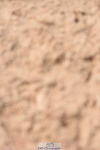 230902A-123706-01074