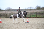 SBM_007974
