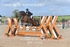 BPP_8285