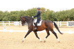 SBM_006392