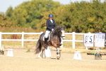 SBM_017778