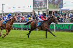 150526-Race 3-Warrant Holder-7554