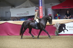 SBM_09401