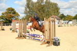 SBM_41392_J6 - Junior Pony 55cm Championship