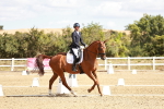 SBM_009356