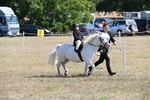 WJ6_7838