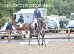 JAC_5290