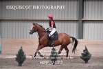 BPP_7177