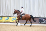 SBM_000856