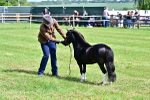 SBM_03465