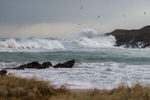 Wild Atlantic at Dooey