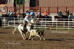_DSC0330