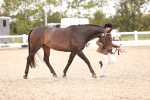 SBM_16379