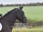 BPP_9635