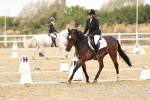 SBM_003617